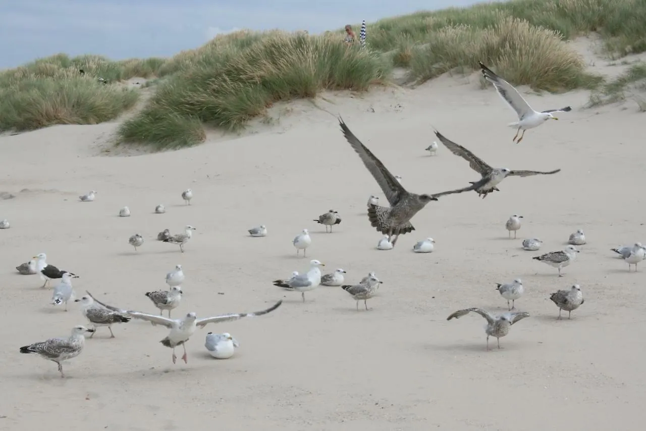 Holiday home Vakantienestje Bredene Belgium